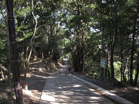 20160226hike (186)